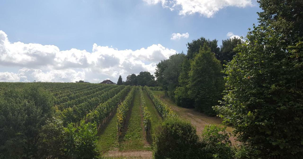 Naehe Mainz - Ferienwohnung - Apartment Breivogel In Woerrstadt Bagian luar foto
